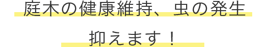 庭木の健康維持、虫の発生 抑えます！