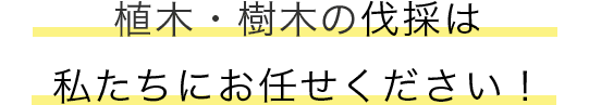 庭木・植木の剪定・刈込は私たちにお任せください！